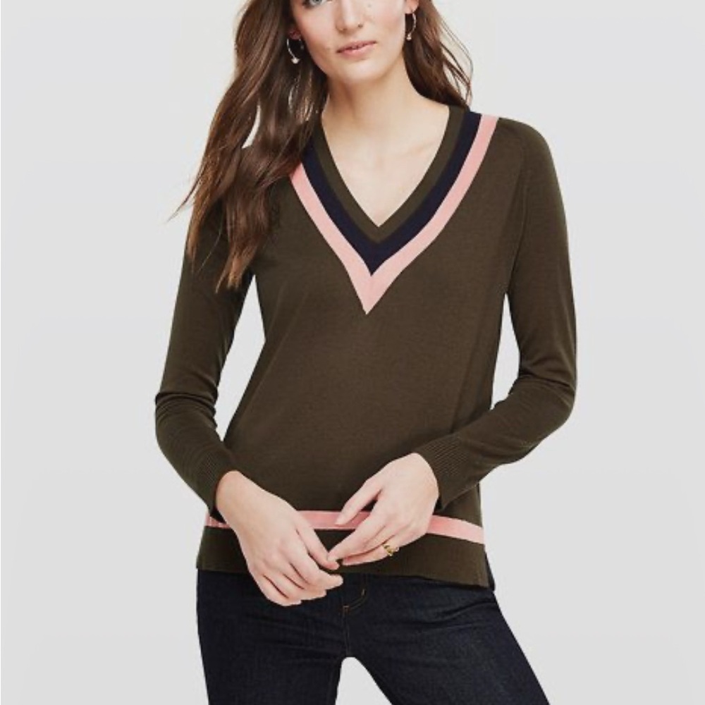 Ann Taylor V-Neck Sweater in Brown and Pink